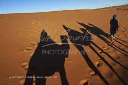 Image du Maroc Professionnelle de  L'ombre d'une caravane avec son guide et ses touristes au lever du soleil sur les dunes de sable du Sahara à Merzouga dans la région de Drâa-Tafilalet au Sud Est du Maroc, le long de ce que l'on appelle la route des mille kasbahs, Dimanche 5 mars 2017. De nombreux touristes visitent les dunes de Merzouga à l’aube pour contempler la beauté du lever du soleil sur les dunes de sable du Sahara. (Photo / Abdeljalil Bounhar 